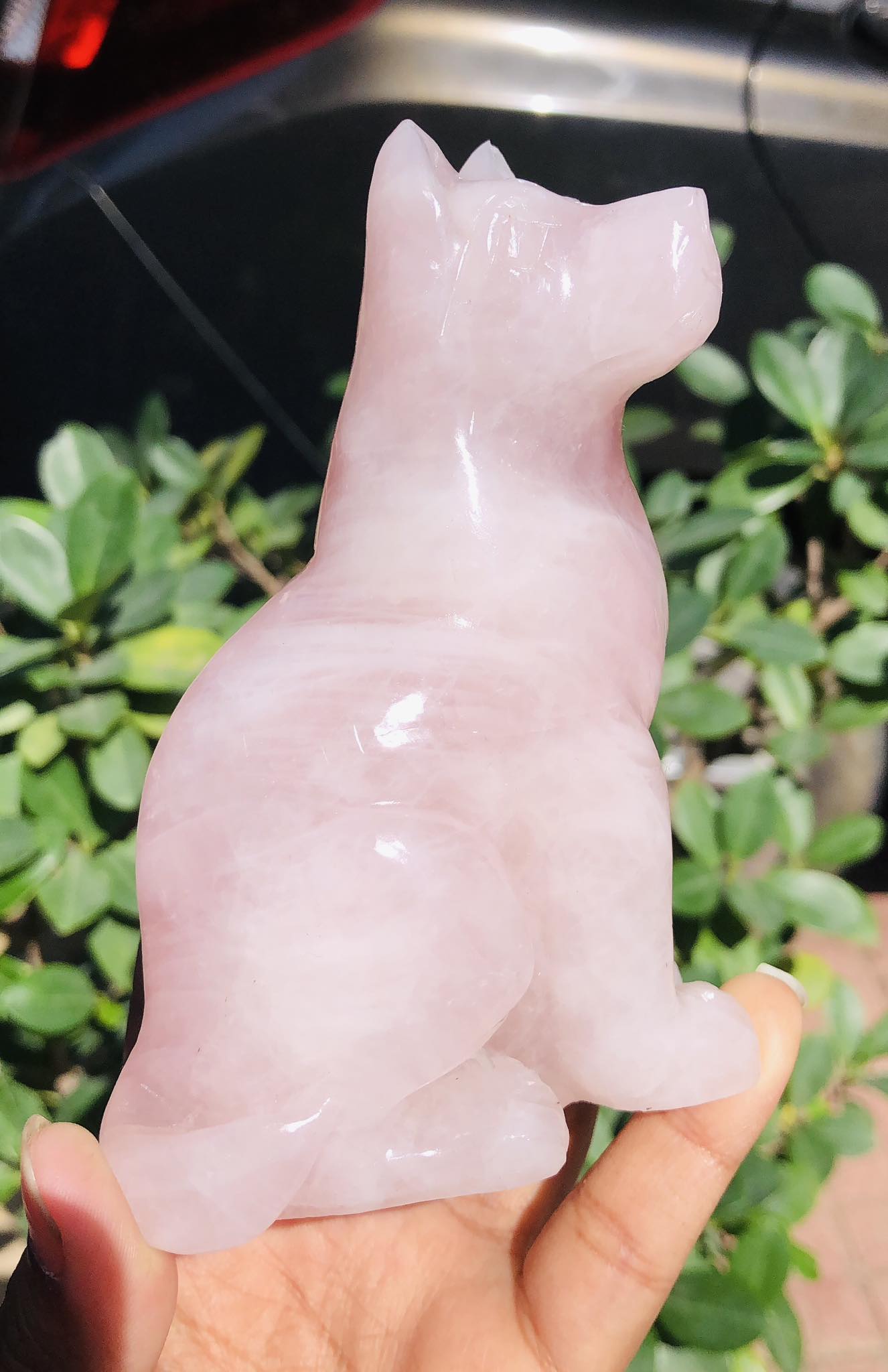 Natural 2169.00 Cts Genuine Rose Quartz Hand Carved Crystal Gemstone Dog Carving