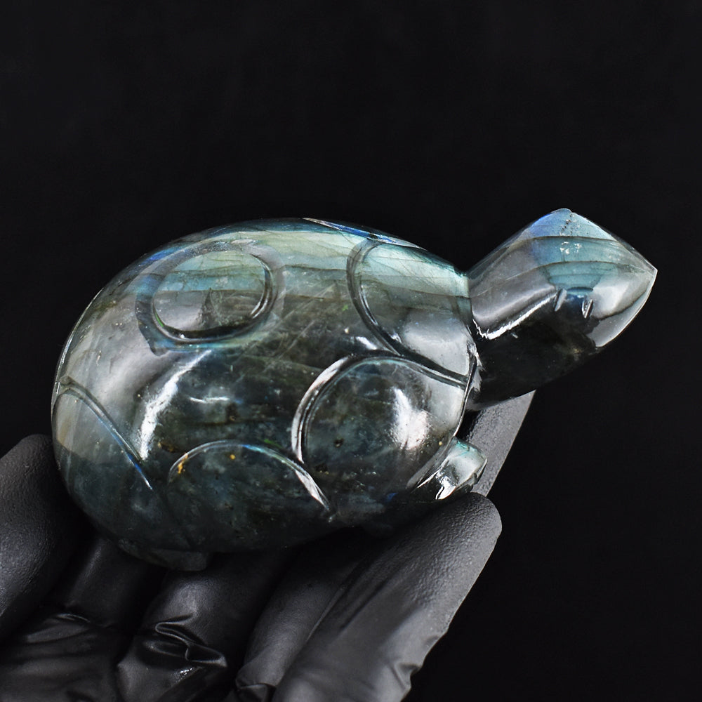 Craftsmen 890.00 Cts Genuine Amazing Flash Labradorite Hand Carved Gemstone Turtle Carving