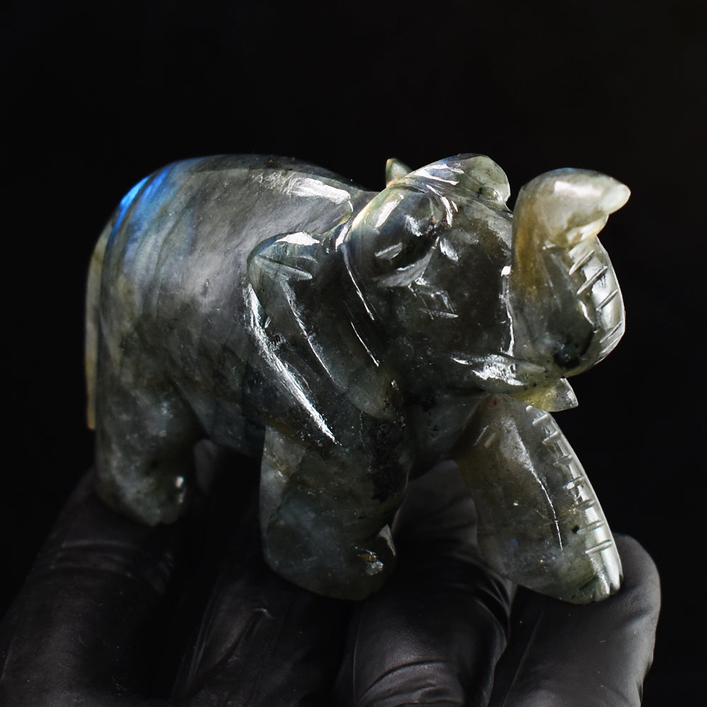 Genuine 691.00 Cts Blue Flash Labradorite Hand Carved Crystal Gemstone Elephant Carving