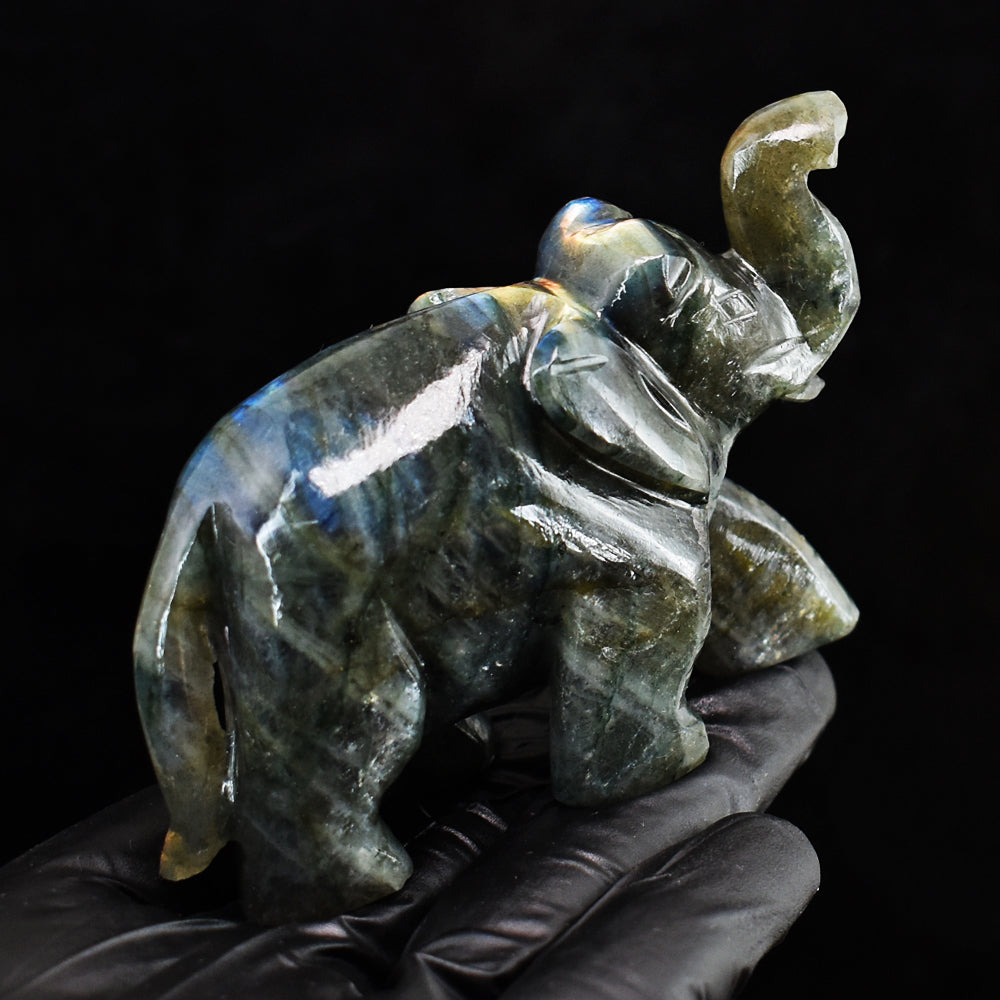 Genuine 691.00 Cts Blue Flash Labradorite Hand Carved Crystal Gemstone Elephant Carving