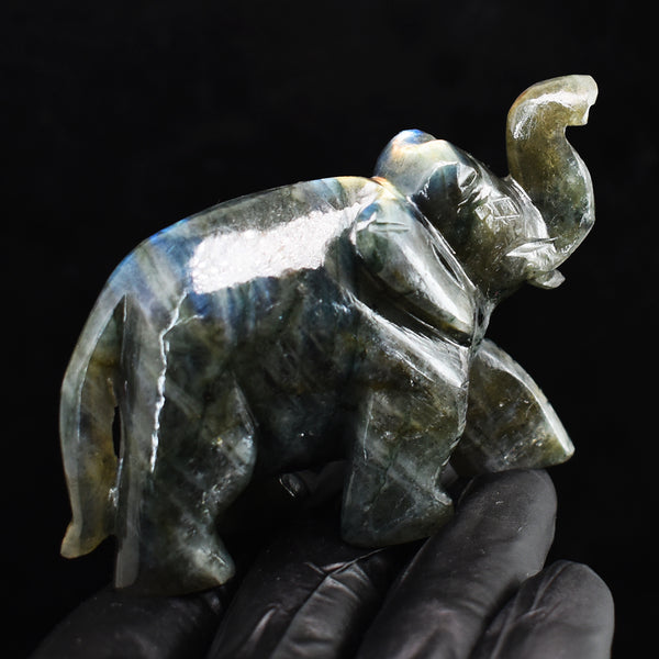 Genuine 691.00 Cts Blue Flash Labradorite Hand Carved Crystal Gemstone Elephant Carving