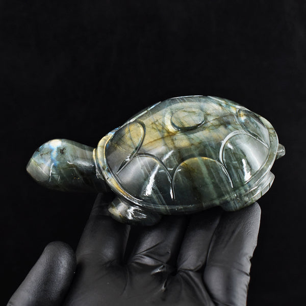 Craftsmen 1063.00 Cts Genuine Golden Flash Labradorite Carved Turtle Gemstone Crystal Carving