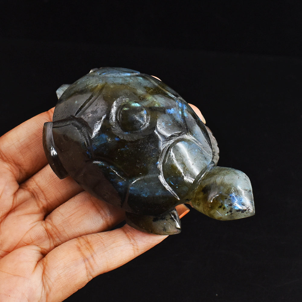 Beautiful  684.00 Carats Genuine Blue Flash Labradorite Hand Carved  Crystal  Turtle Carving