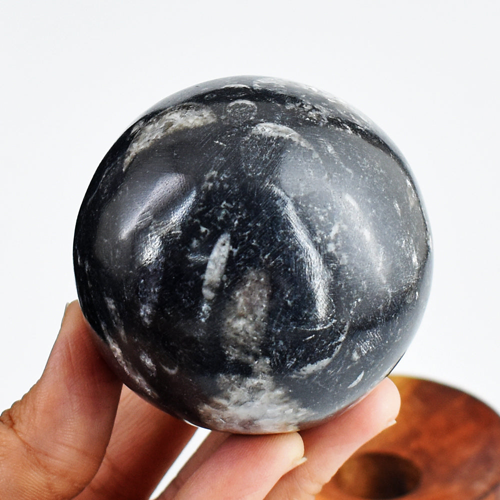 Artisian 1443.00 Cts Genuine Orthoceras Crystal Specimen Gemstone Healing Sphere