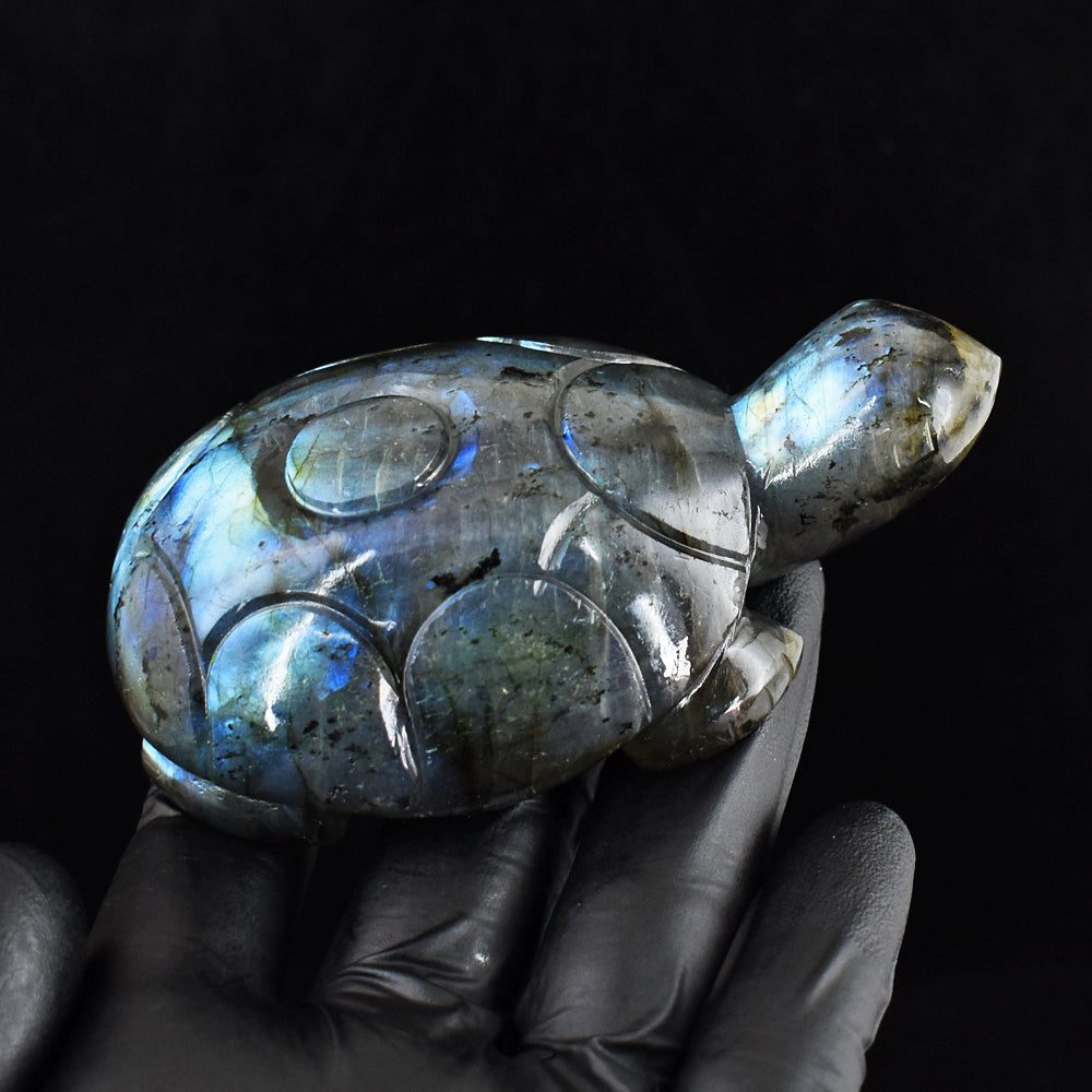 Amazing 938.00 Cts Genuine Blue Flash Labradorite Hand Carved Crystal Gemstone Turtle Carving