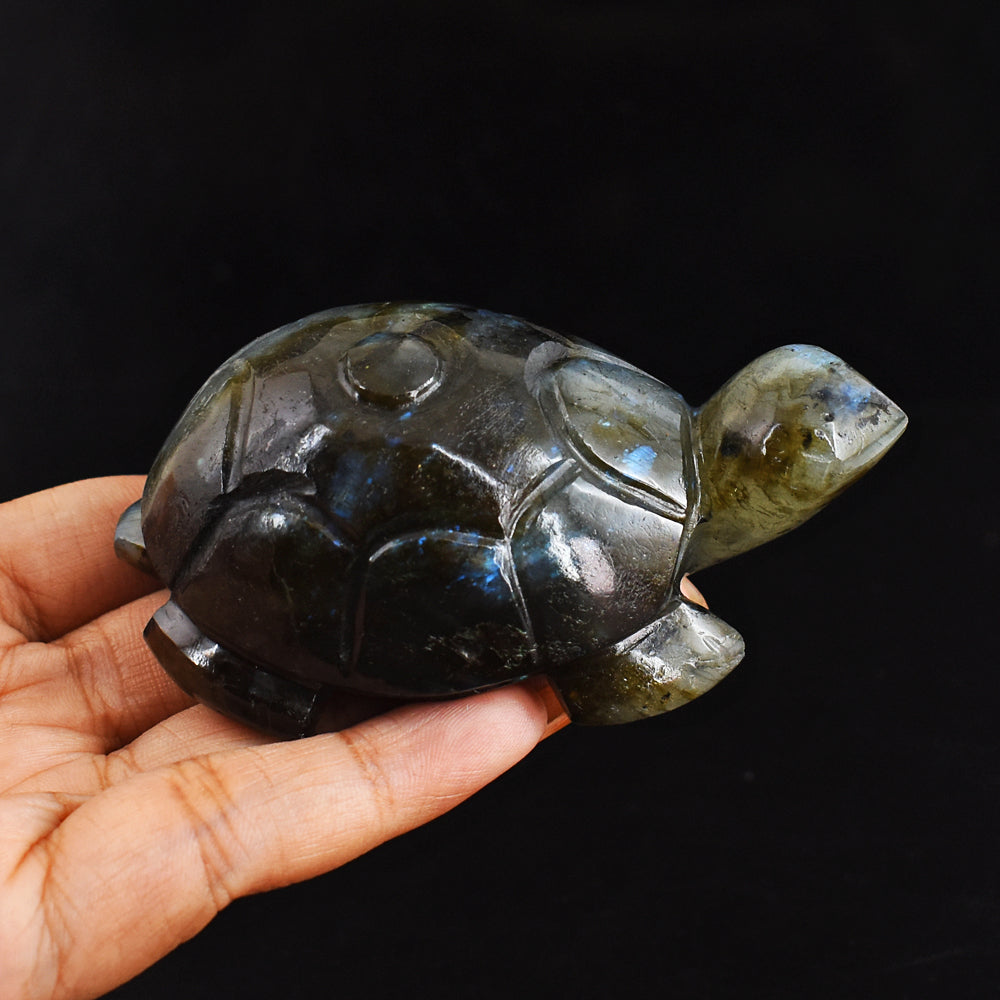 Beautiful  684.00 Carats Genuine Blue Flash Labradorite Hand Carved  Crystal  Turtle Carving