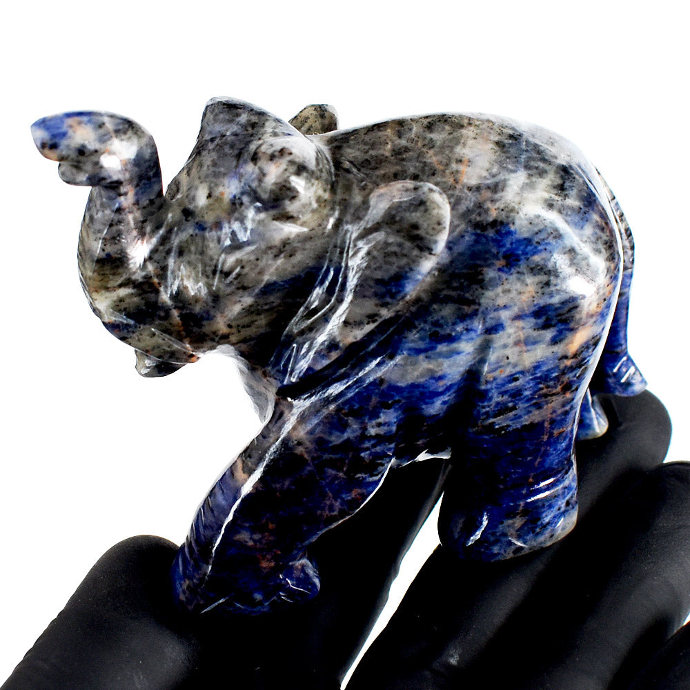 Beautiful 1171.00 Cts Genuine Sodalite Hand Carved Crystal Gemstone Elephant Carving