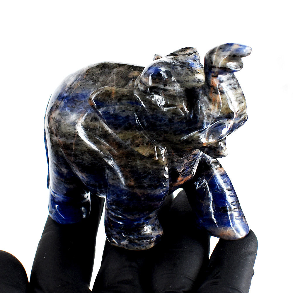 Beautiful 1171.00 Cts Genuine Sodalite Hand Carved Crystal Gemstone Elephant Carving