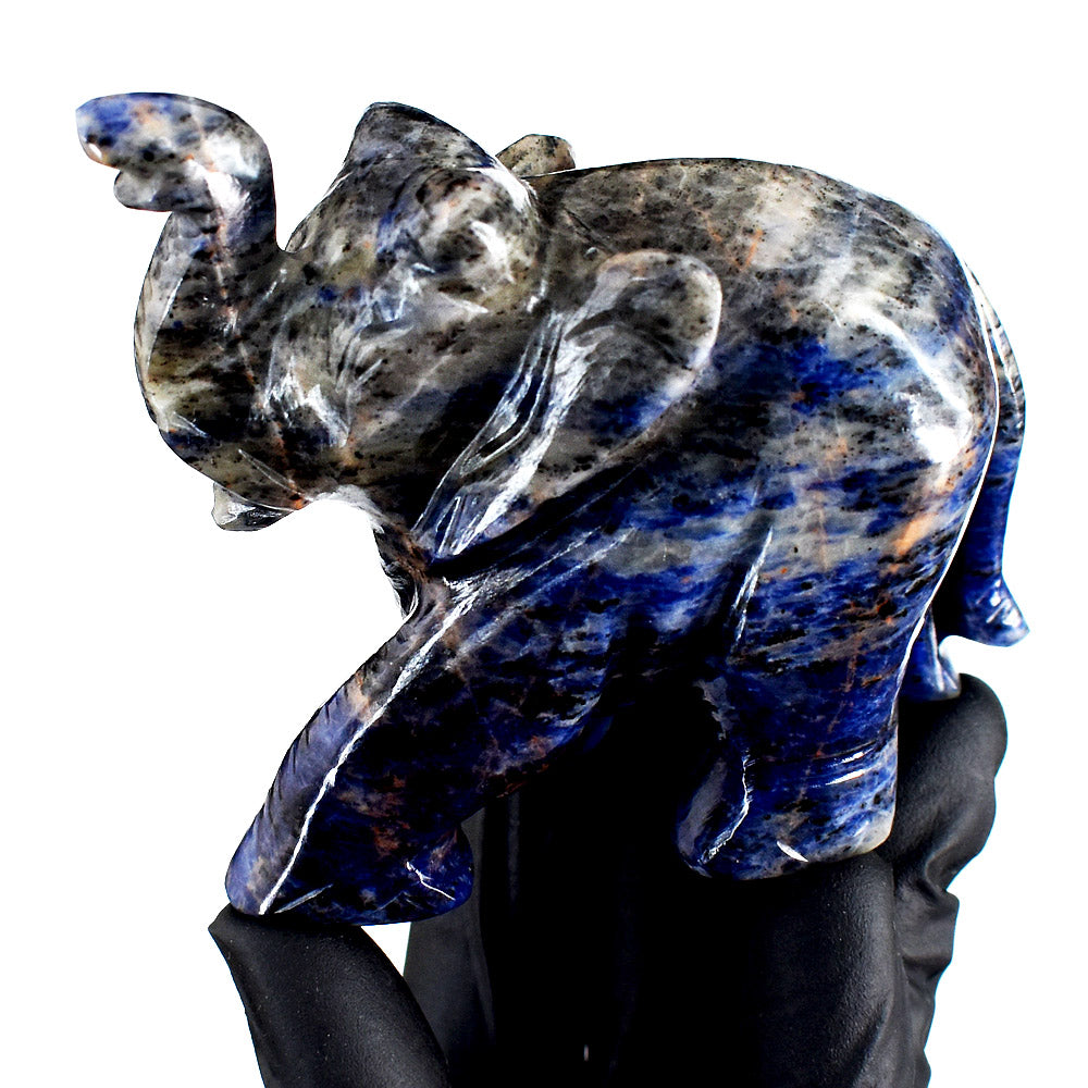 Beautiful 1171.00 Cts Genuine Sodalite Hand Carved Crystal Gemstone Elephant Carving