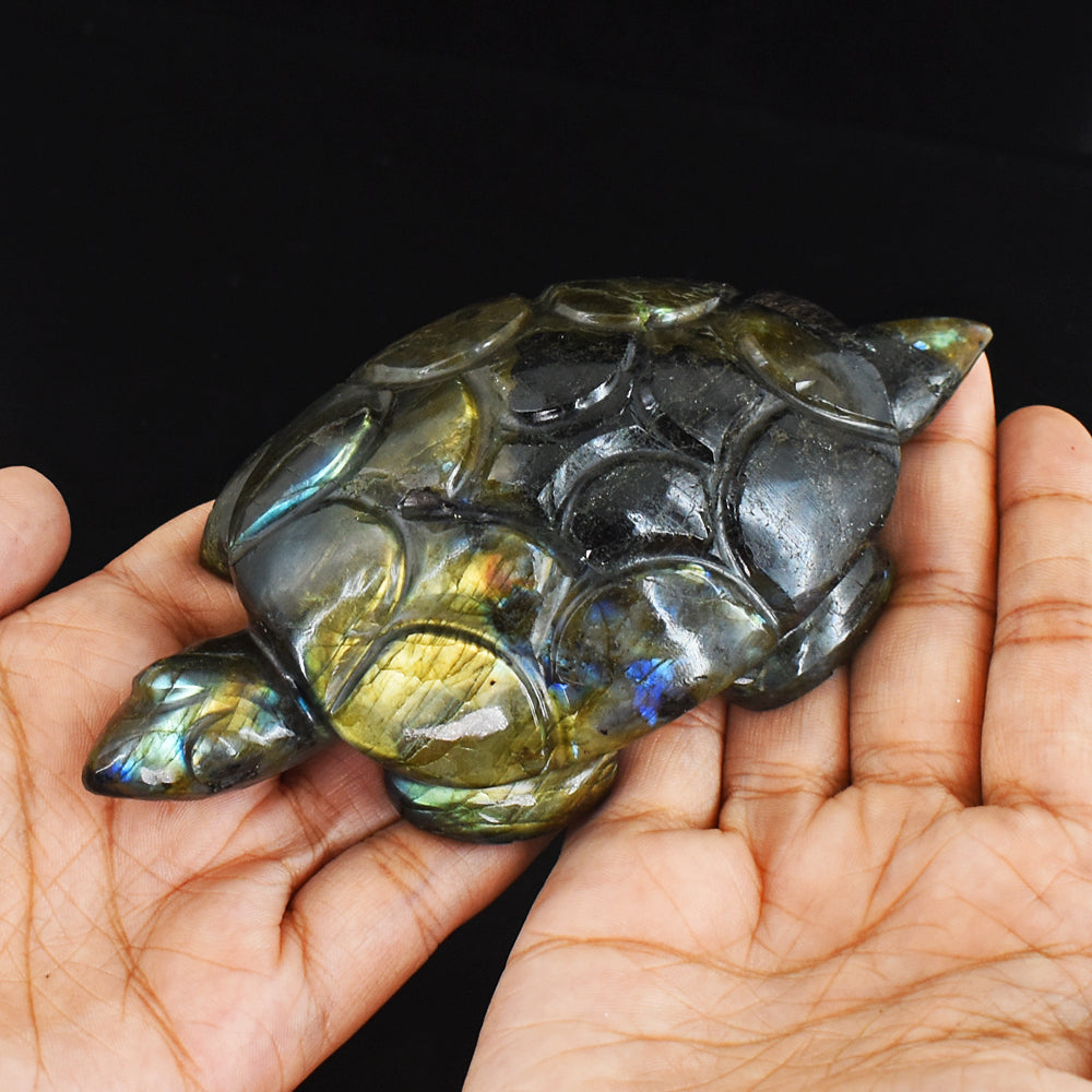 Fancy 1231.00 Cts Genuine Amazing Flash Labradorite  Hand Carved  Crystal  Gemstone Turtle Carving