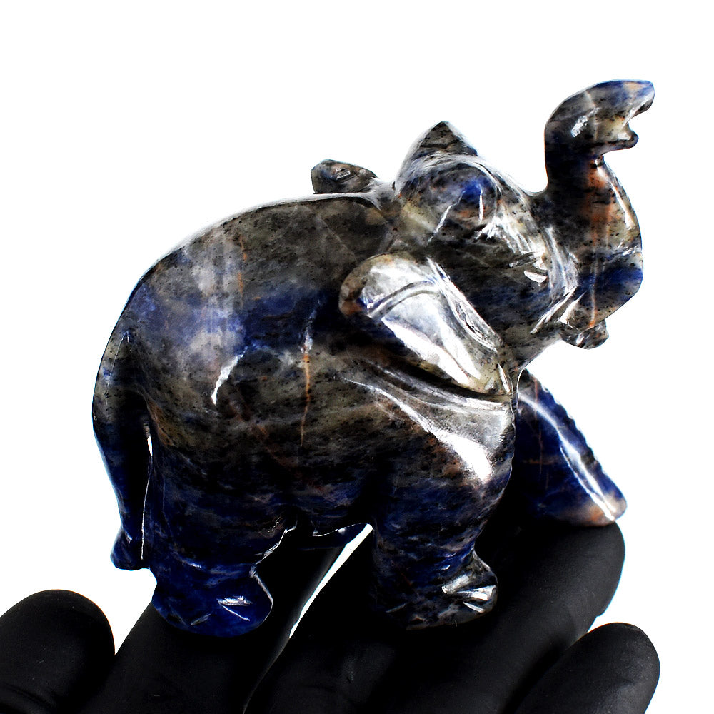 Beautiful 1171.00 Cts Genuine Sodalite Hand Carved Crystal Gemstone Elephant Carving