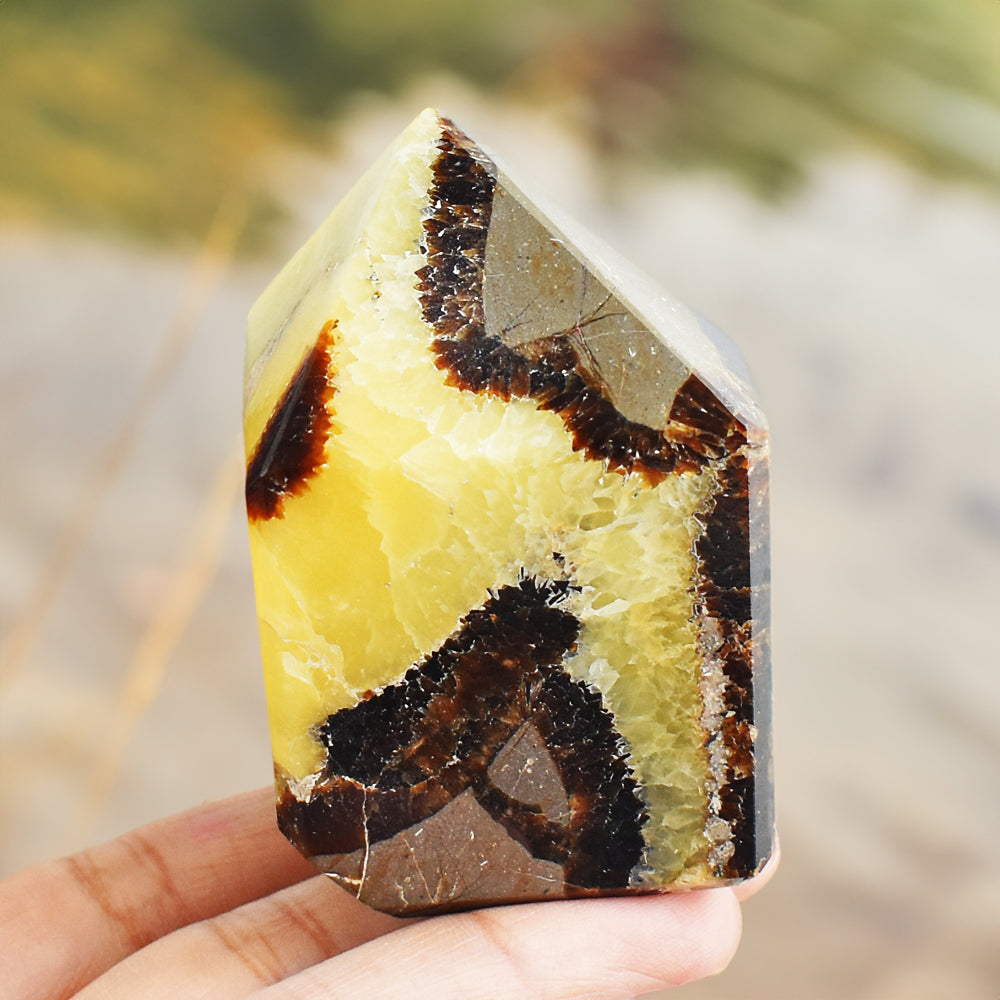 Artisian 904.00 Cts Genuine Septarian Agate Free Form Crystal Specimen Gemstone Tower