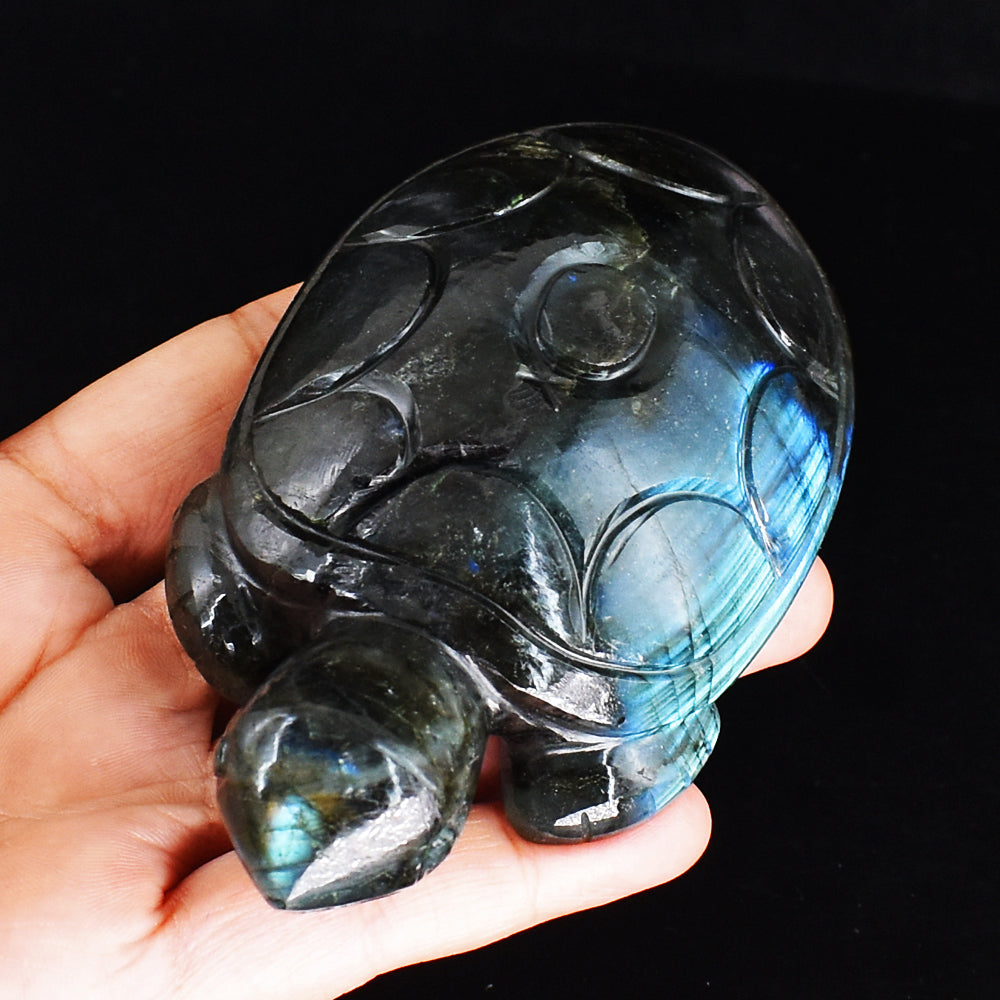 1114.00 Carats  Genuine  Blue Flash Labradorite Hand Carved  Crystal  Gemstone Turtle Carving