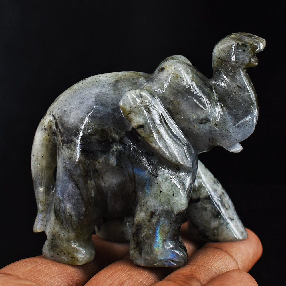 Blue Flash Labradorite  760.00 Cts Genuine Hand Carved Crystal Gemstone Carving Elephant