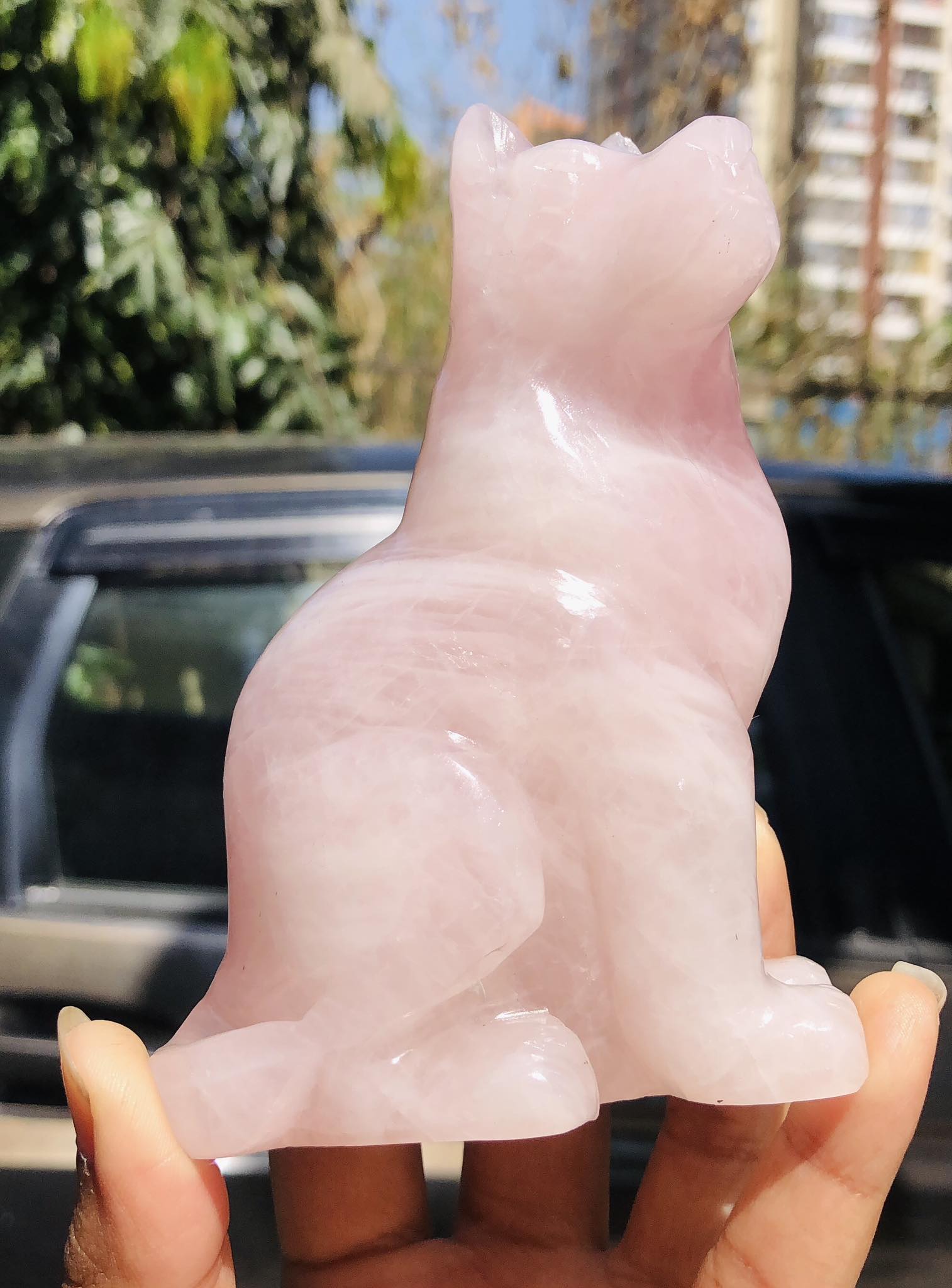 Natural 2169.00 Cts Genuine Rose Quartz Hand Carved Crystal Gemstone Dog Carving