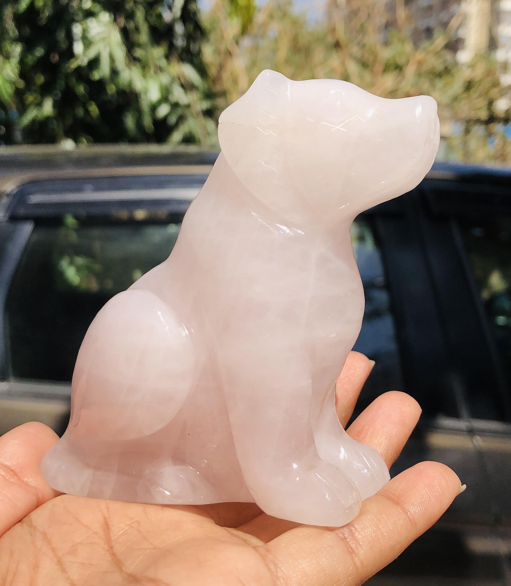 Beautiful 1632.00 Cts Genuine Rose Quartz Hand Carved Crystal Gemstone Dog Carving