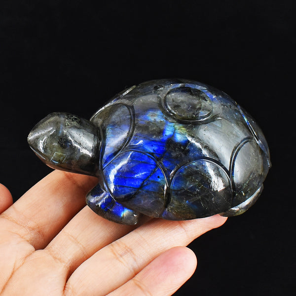 Craftsmen 1186.00 Cts  Genuine  Blue Flash Labradorite Hand Carved Crystal Turtle Carving