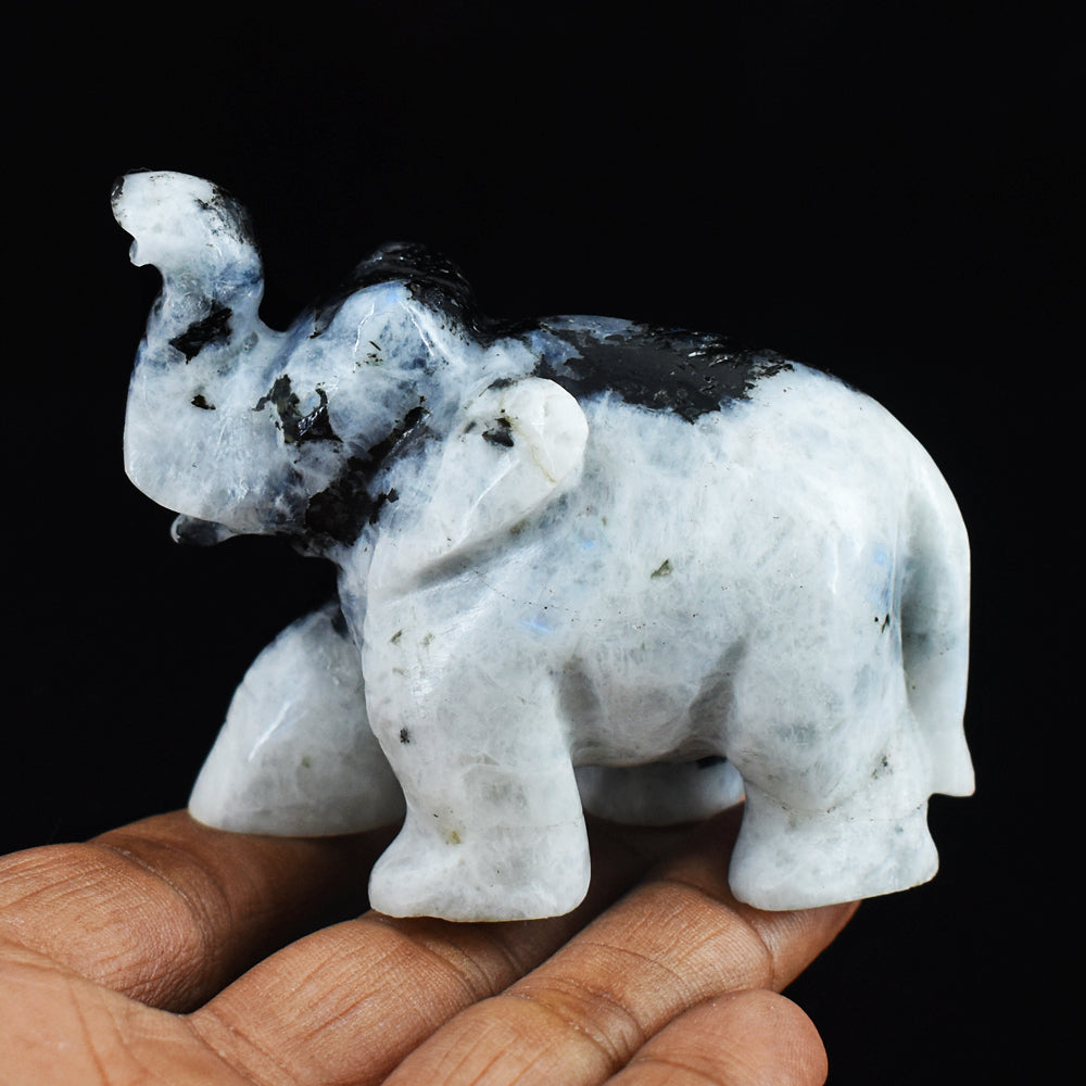 Exclusive 723.00 Cts Blue Flash Moonstone  Hand Carved Genuine Crystal Gemstone Carving Elephant