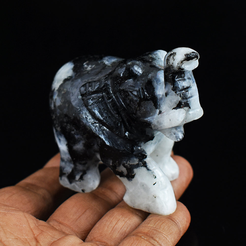 Exclusive 723.00 Cts Blue Flash Moonstone  Hand Carved Genuine Crystal Gemstone Carving Elephant