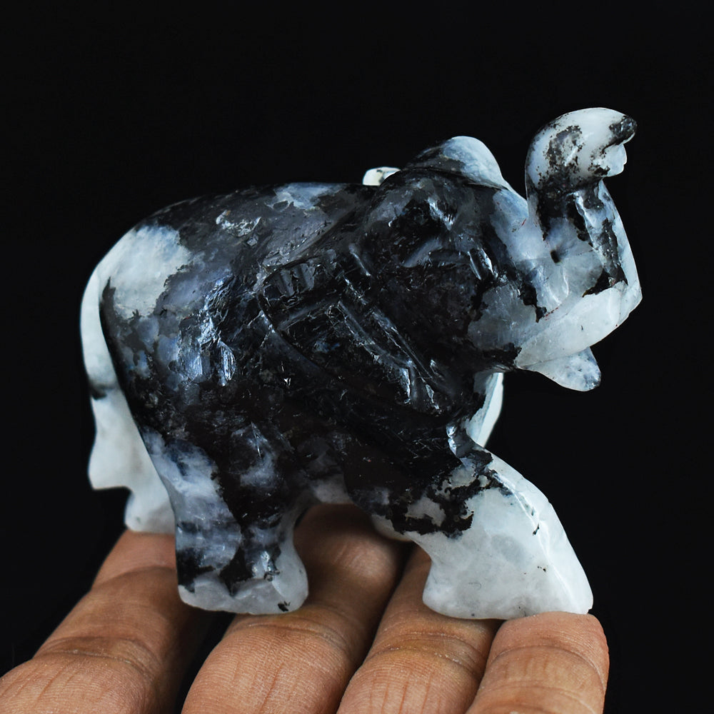 Exclusive 723.00 Cts Blue Flash Moonstone  Hand Carved Genuine Crystal Gemstone Carving Elephant