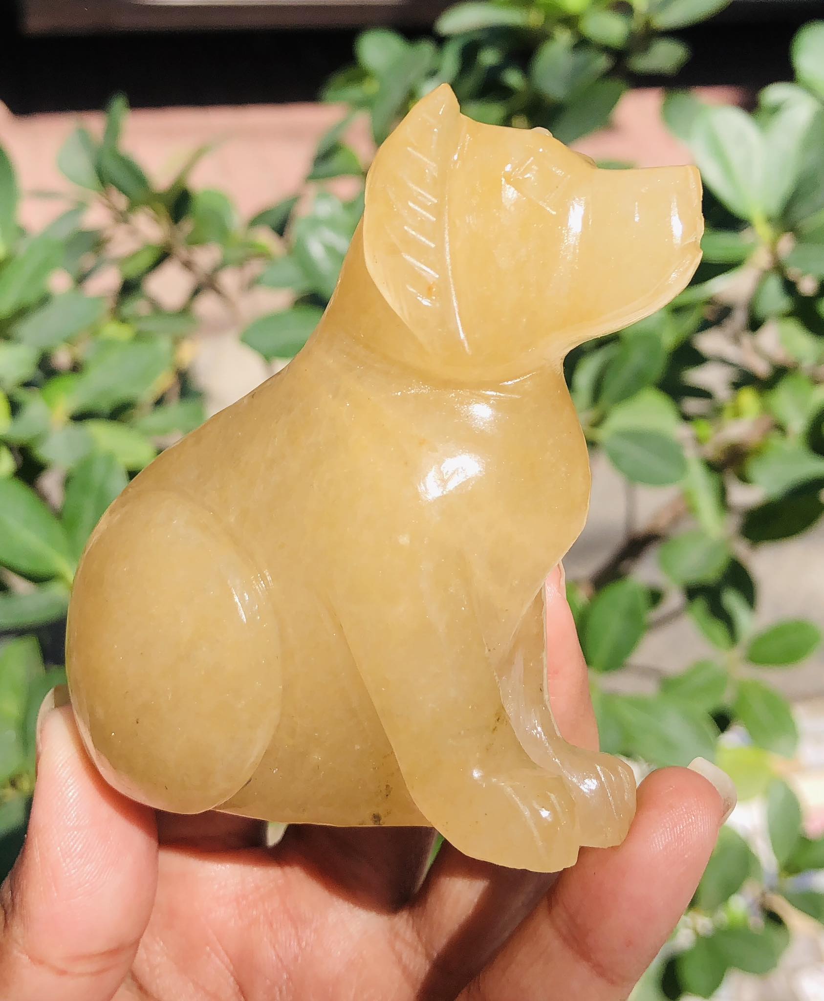 Exclusive 1021.00 Cts Genuine Aventurine Hand Carved Crystal Gemstone Dog Carving