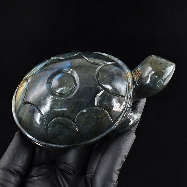 Exclusive 1770.00 Cts Genuine Golden & Blue Flash Labradorite Hand Carved Gemstone Turtle Carving