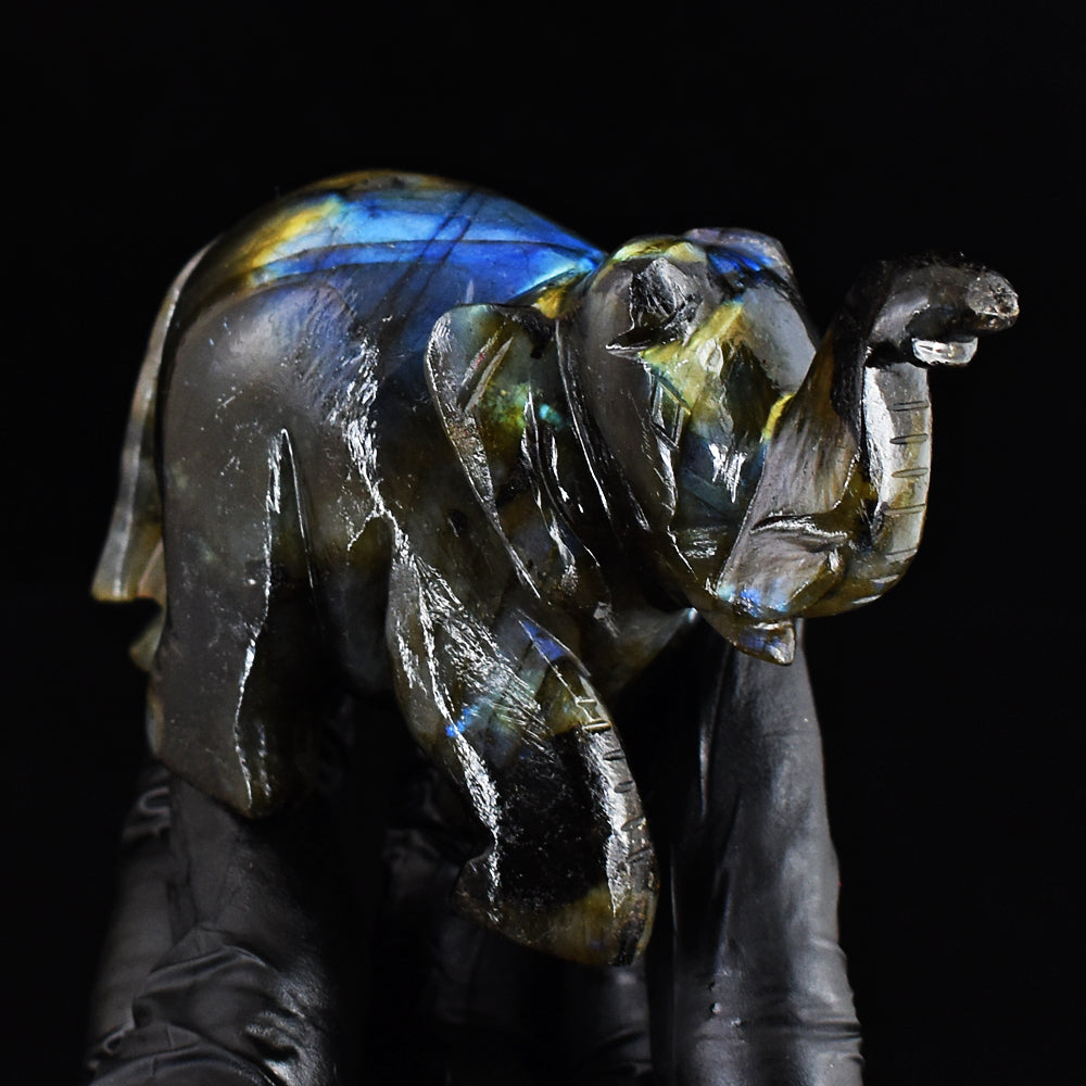 Genuine 960.00 Cts  Blue Flash Labradorite Hand Carved Gemstone Crystal  Elephant Carving