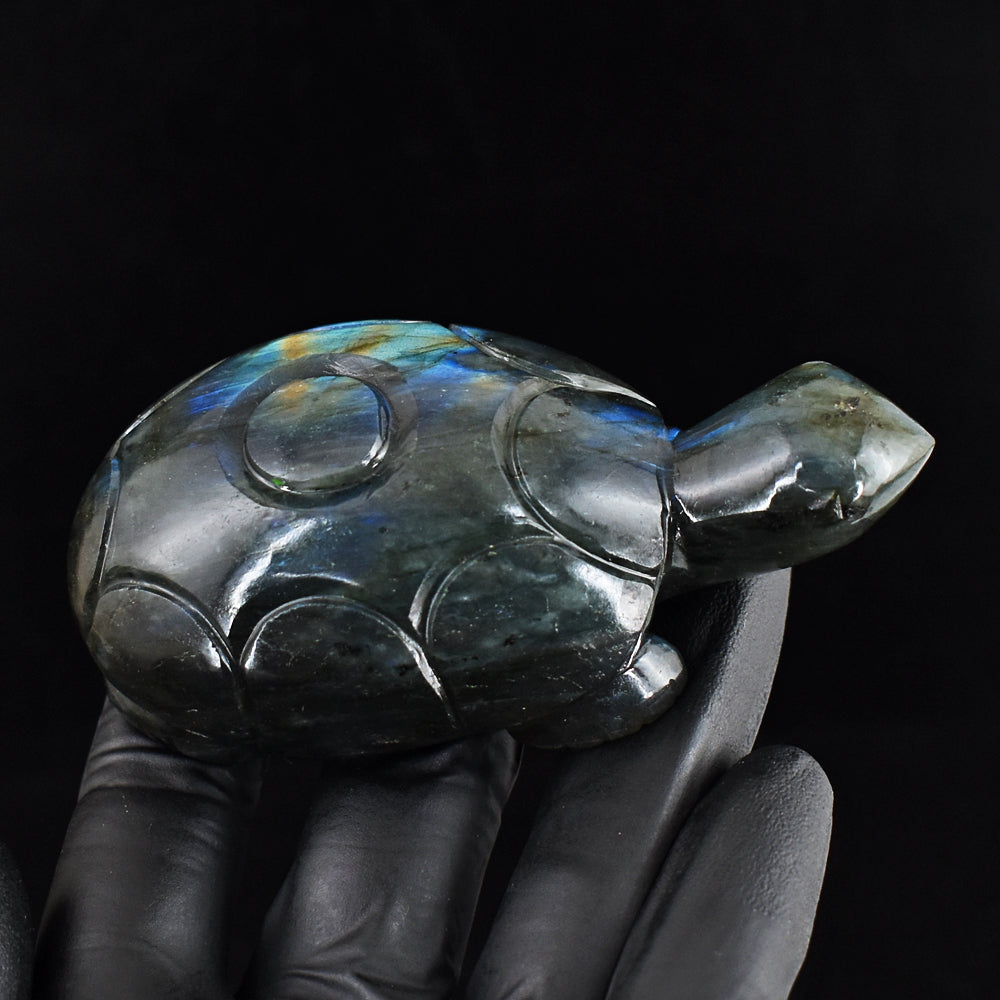 Genuine 724.00 Cts Natural Blue & Golden Flash Labradorite Hand Carved Crystal Gemstone Turtle Carving