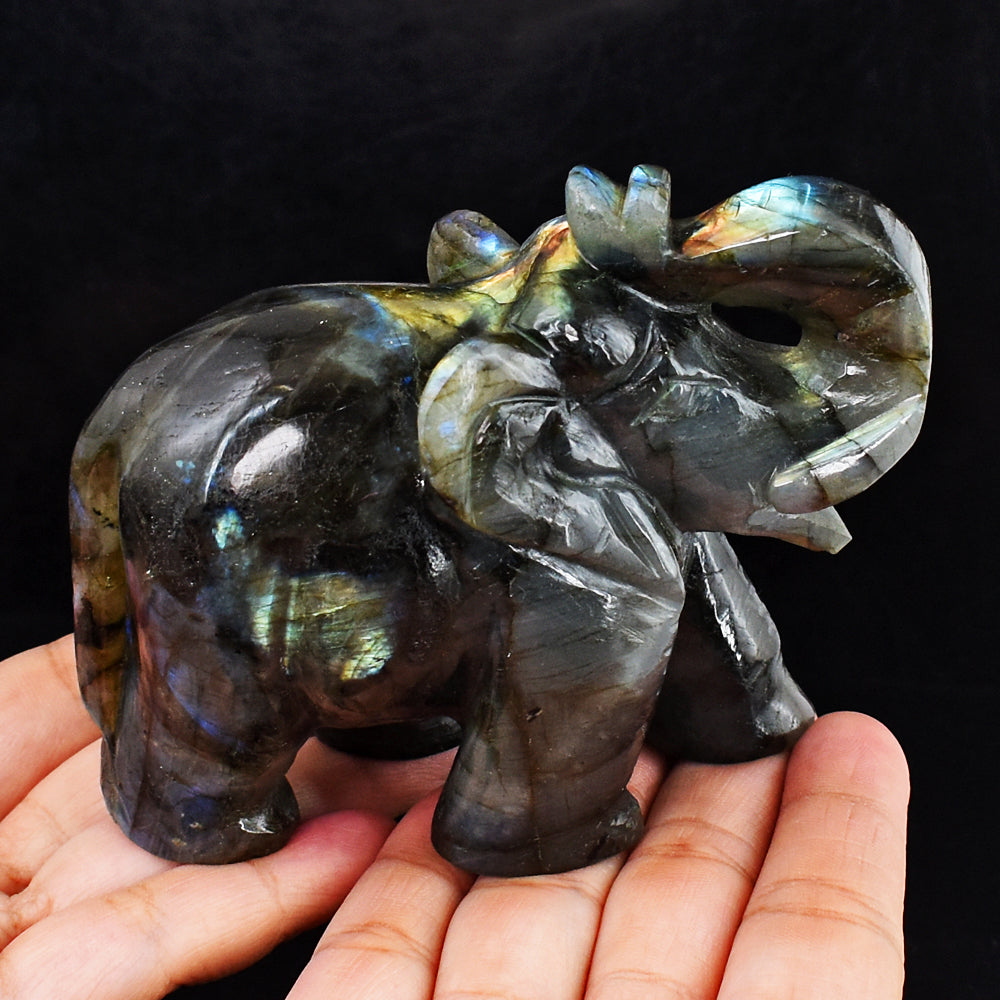 Blue & Golden Flash Labradorite 2123.00 Cts Genuine Hand Carved Crystal Gemstone Elephant Carving