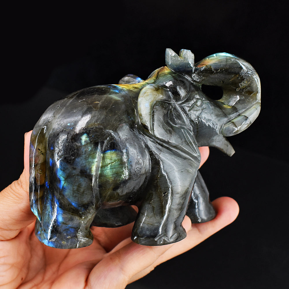 Blue & Golden Flash Labradorite 2123.00 Cts Genuine Hand Carved Crystal Gemstone Elephant Carving