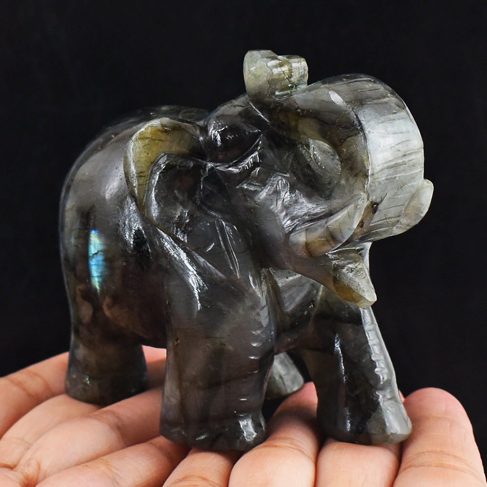 Blue & Golden Flash Labradorite 2123.00 Cts Genuine Hand Carved Crystal Gemstone Elephant Carving