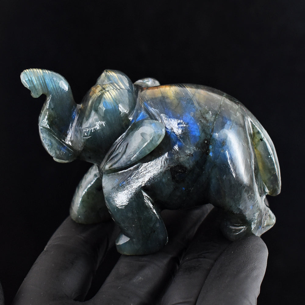 Beautiful 911.00 Cts Genuine Blue Flash Labradorite Hand Carved Gemstone Crystal Elephant Carving