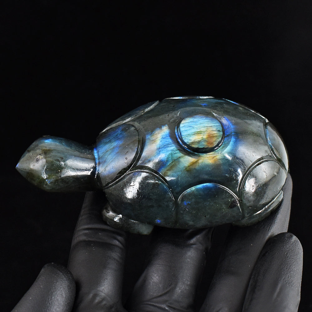 Genuine 724.00 Cts Natural Blue & Golden Flash Labradorite Hand Carved Crystal Gemstone Turtle Carving