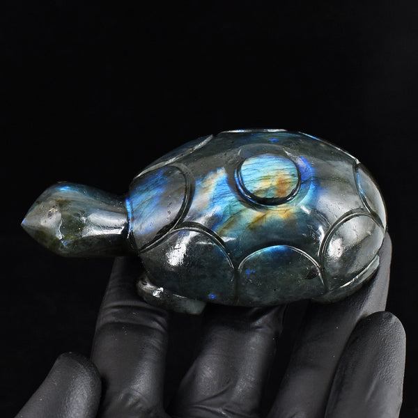 Genuine 724.00 Cts Natural Blue & Golden Flash Labradorite Hand Carved Crystal Gemstone Turtle Carving