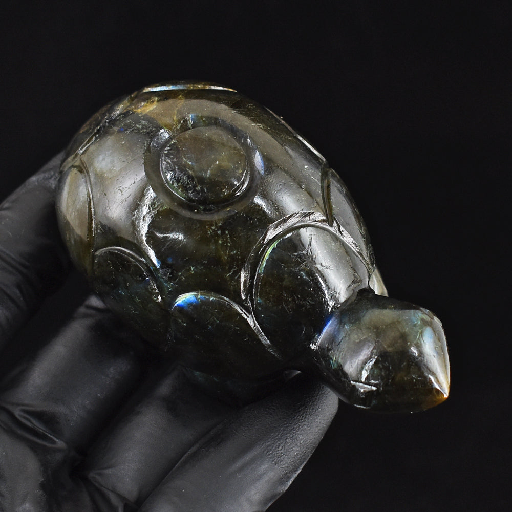 747.00 Cts Genuine Blue Flash Labradorite Hand Carved Crystal Turtle Gemstone Carving