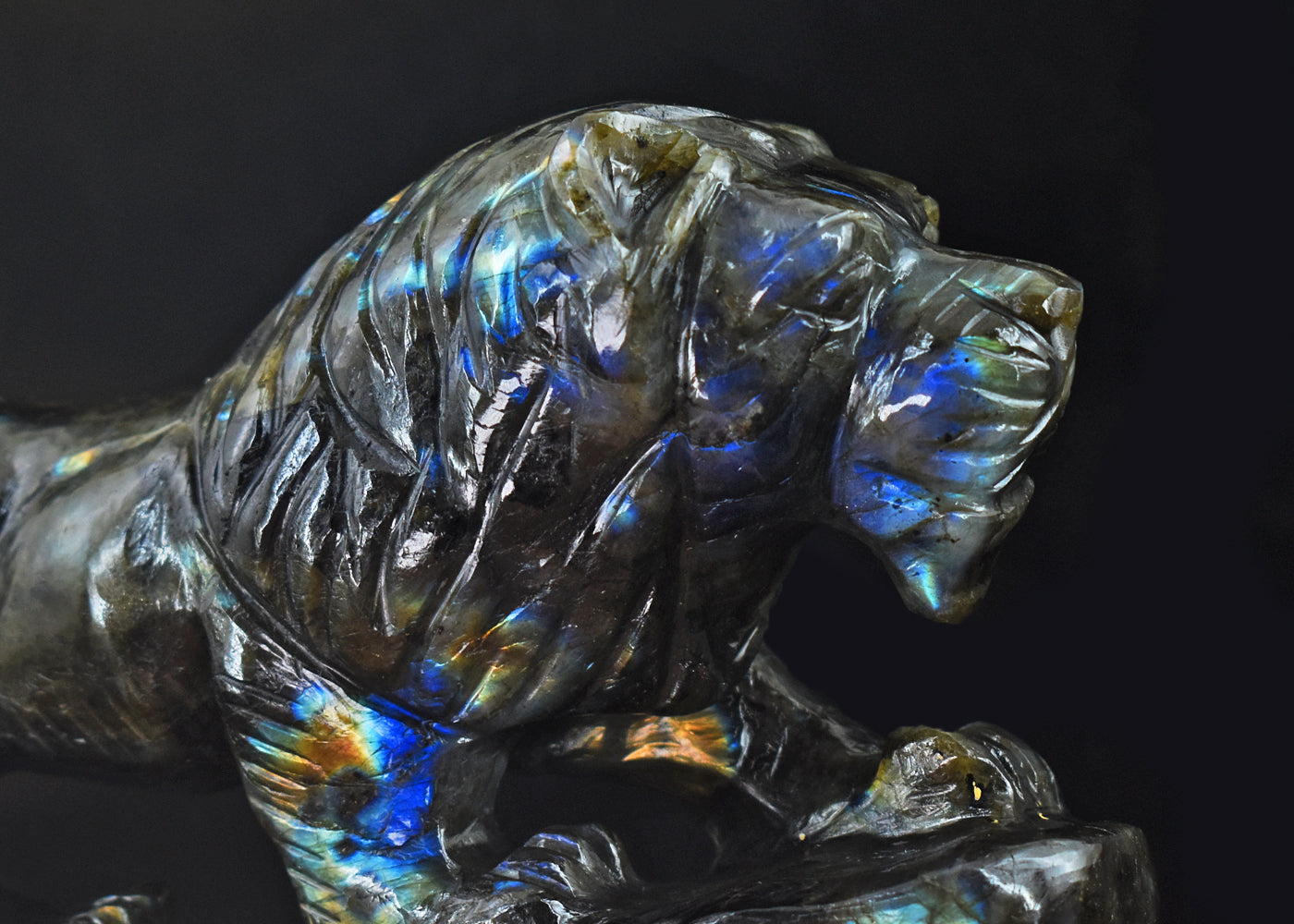 Golden & Blue Flash Labradorite 4963.00 Cts Genuine Hand Carved  Crystal Gemstone Lion Carving