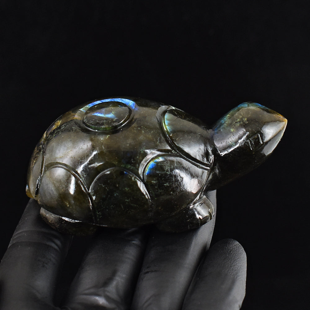 747.00 Cts Genuine Blue Flash Labradorite Hand Carved Crystal Turtle Gemstone Carving