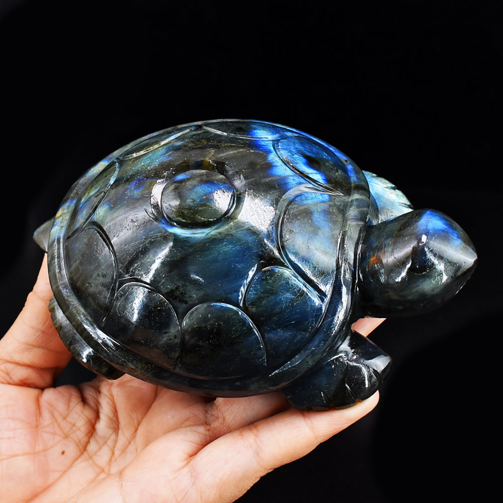 Exclusive 2940.00 Carats Genuine  Blue Flash Labradorite Hand Carved Crystal Gemstone Turtle Carving