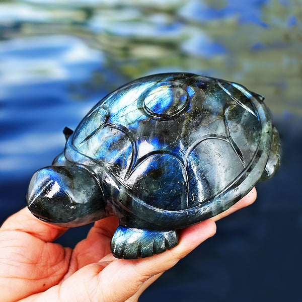 Exclusive 2940.00 Carats Genuine  Blue Flash Labradorite Hand Carved Crystal Gemstone Turtle Carving