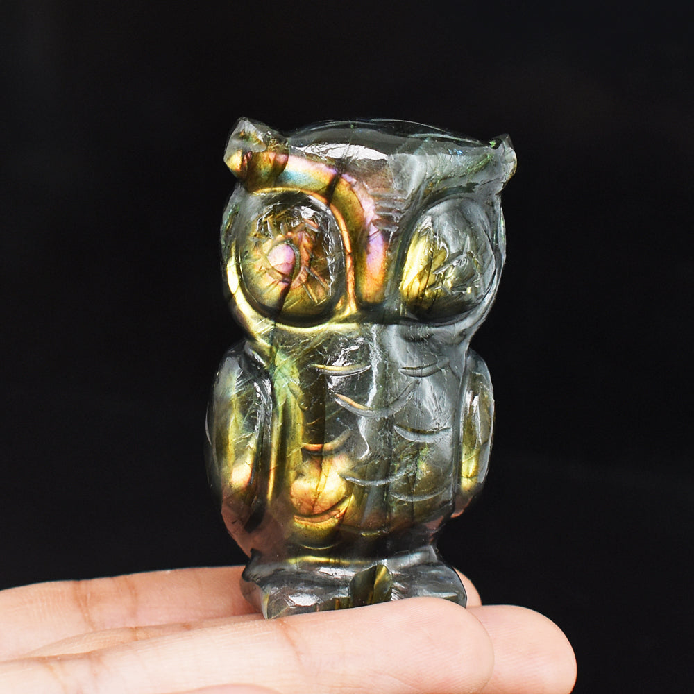 Stunning 407.00 Cts Genuine Golden Flash Labradorite Hand Carved Crystal Gemstone Owl  Carving