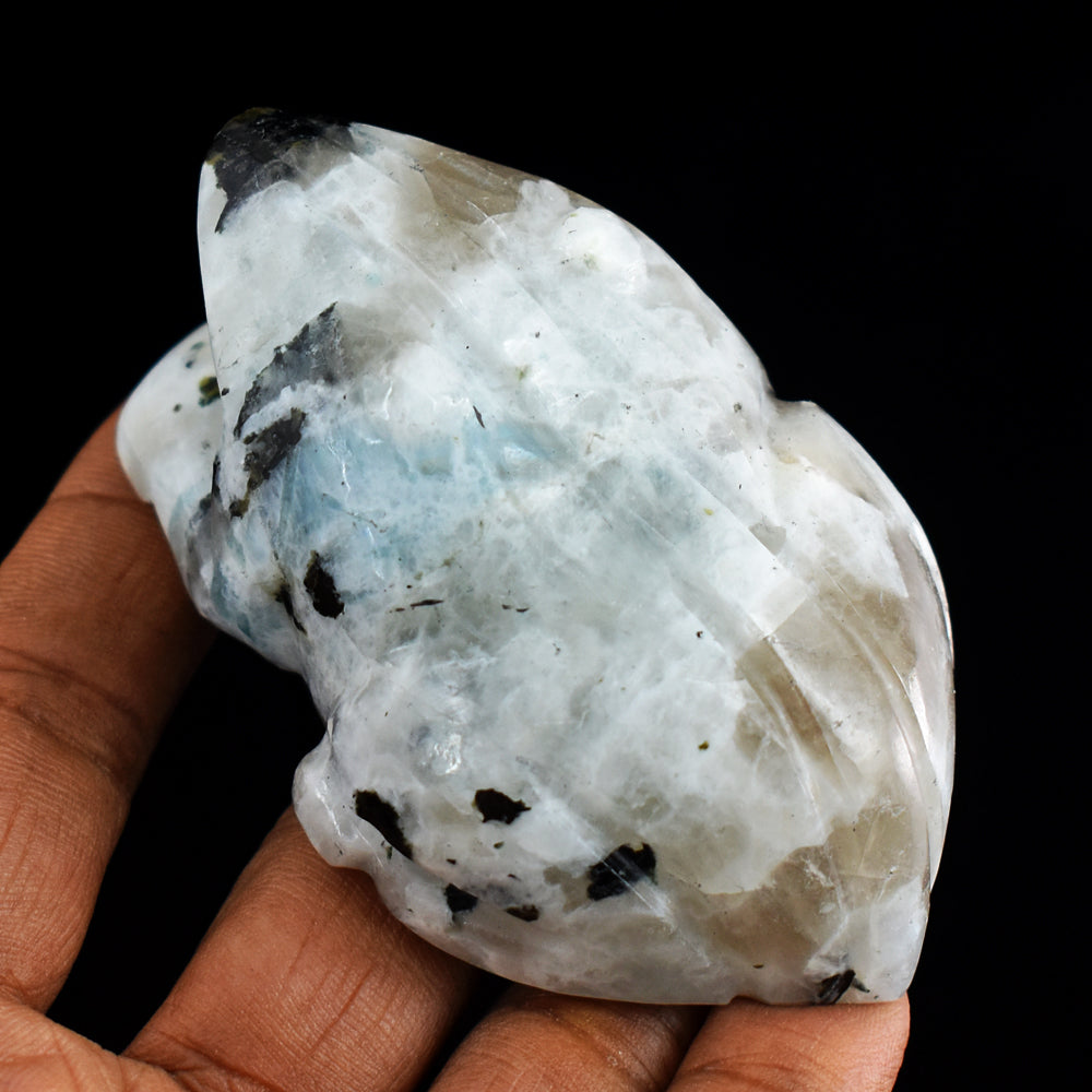 Natural Blue Flash Moonstone 725.00 Carats  Hand Carved Genuine Crystal Gemstone Frog Carving