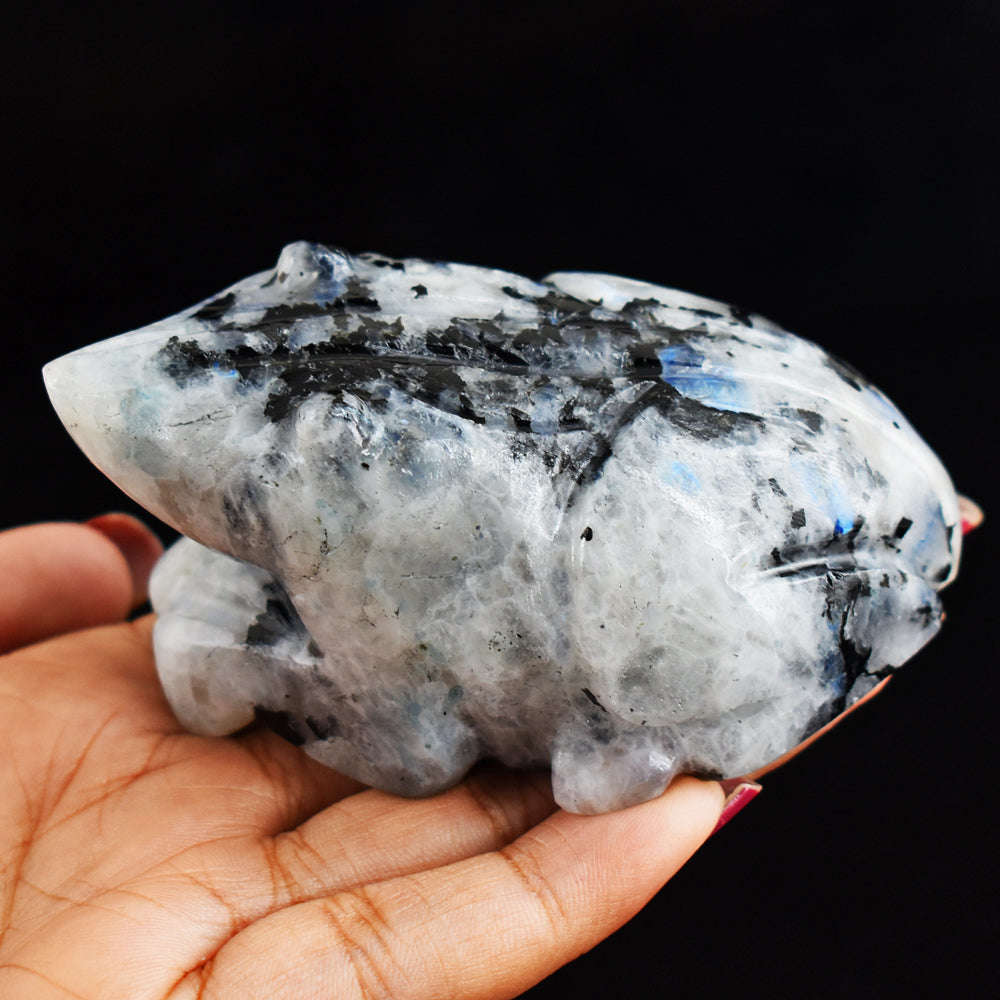 gemsmore:Blue Flash Moonstone 1037.00 Cts  Hand Carved Genuine Crystal Moonstone Carving Frog