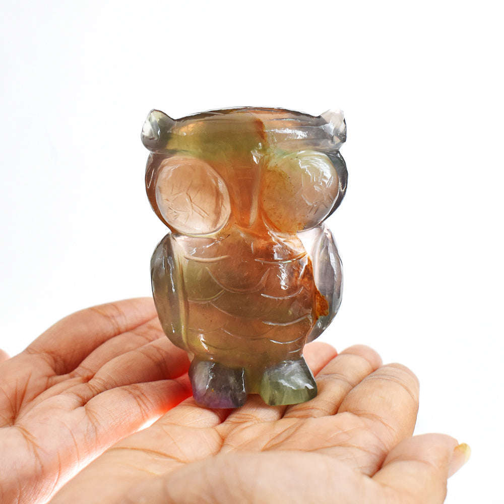 gemsmore:Genuine  1244.00 Cts  Multicolor Fluorite Hand Carved Crystal Owl  Gemstone Carving