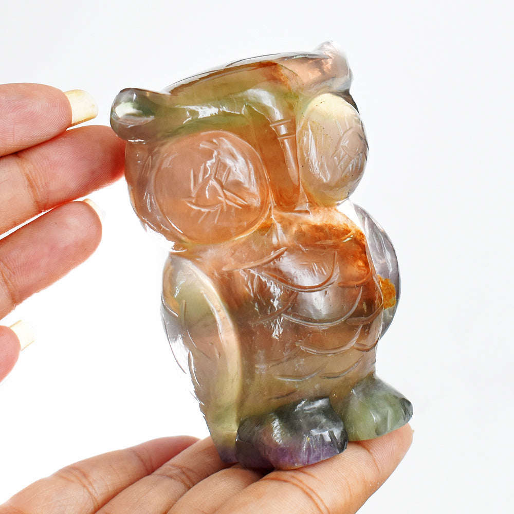 gemsmore:Genuine  1244.00 Cts  Multicolor Fluorite Hand Carved Crystal Owl  Gemstone Carving