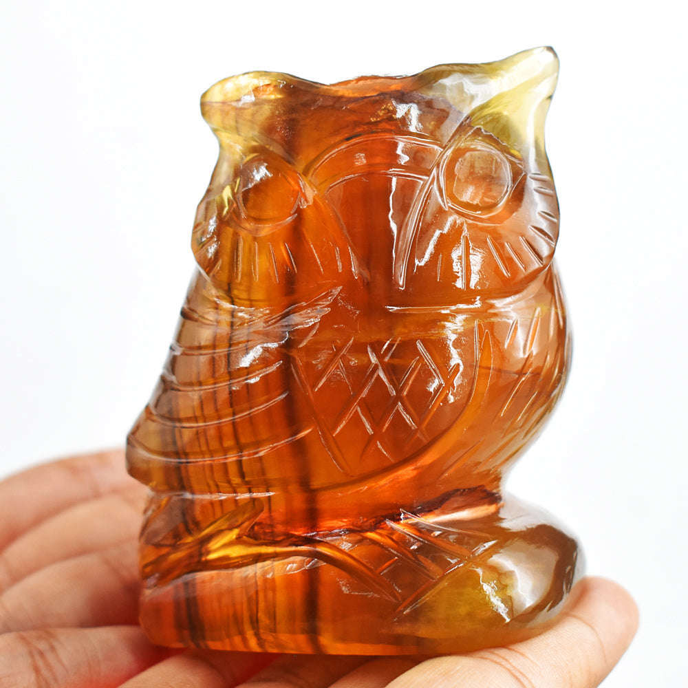 gemsmore:Genuine  1560.00 Cts  Multicolor Fluorite Hand Carved Crystal Owl Gemstone Carving