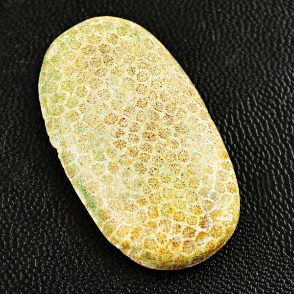 gemsmore:Amazing Coral Fossil Oval Shape Loose Gemstone