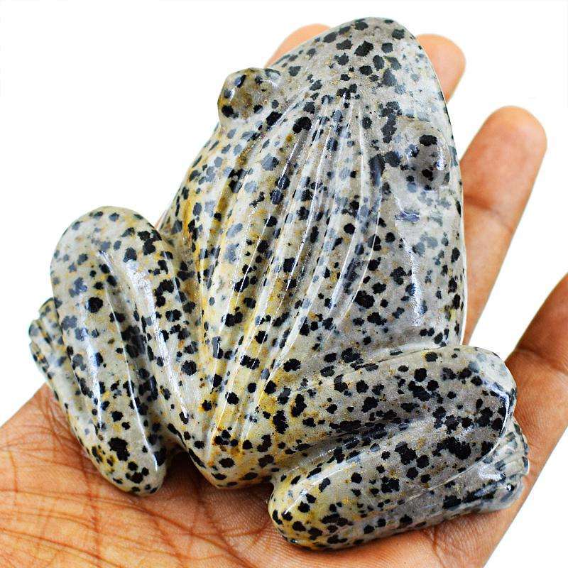 gemsmore:Amazing Dalmatian Jasper Hand Carved Frog