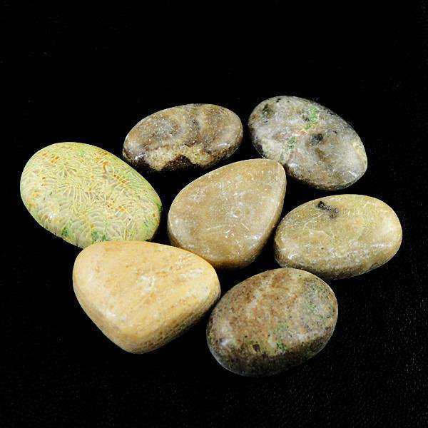 gemsmore:Amazing Natural Coral Fossil Untreated Loose Gemstone Lot