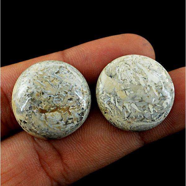 gemsmore:Amazing Round Shape Ocean Jasper Untreated Loose Gemstone Pair