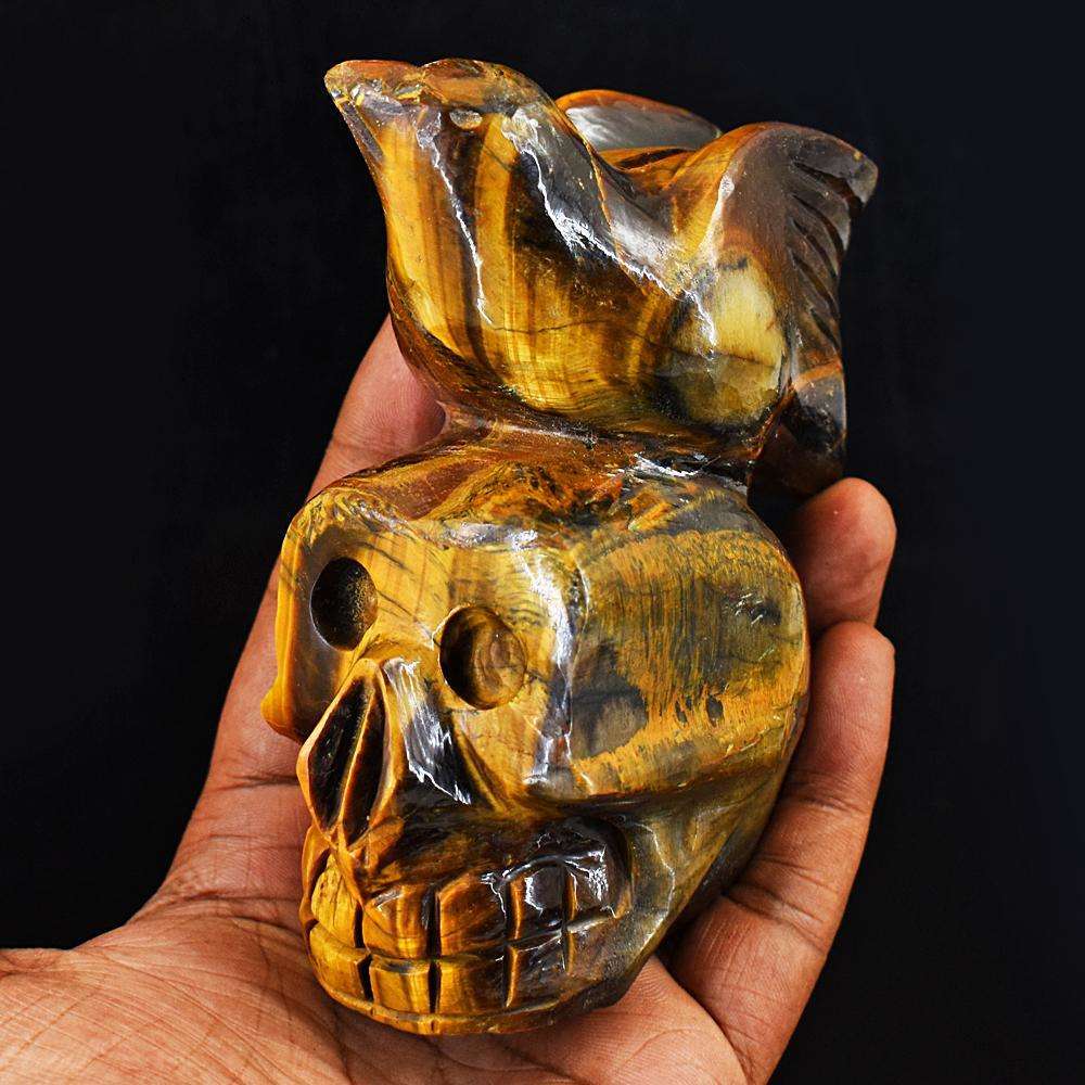 gemsmore:Artisian Tiger Eye Hand Carved Skull With Bird